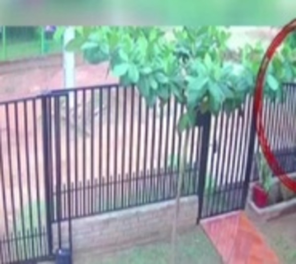 Niño de 4 años fue arrollado por un motociclista - Paraguay.com