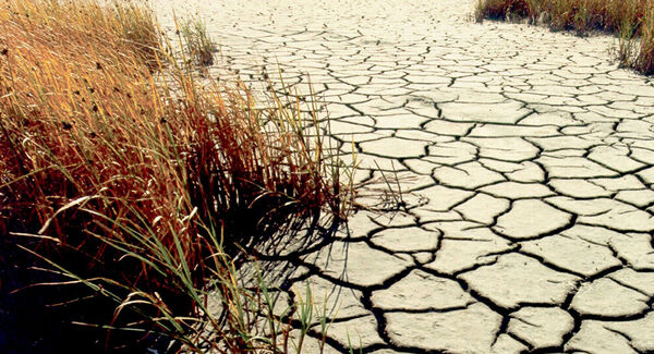 Ministerio de Ambiente advierte sobre meses de sequía muy difíciles - El Independiente