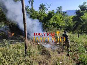 SENAD elimina 12 toneladas de droga en Bella Vista Norte - Radio Imperio 106.7 FM