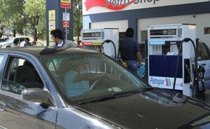 Gobierno suspende habilitación de nuevos surtidores por 60 meses