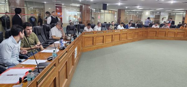 Concejales asuncenos destacan suspensión de habilitación de nuevos surtidores - ADN Digital