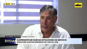 Suspensión de nuevas estaciones de servicios: Apesa pide auditar empresas de todo el país  - ABC Noticias - ABC Color