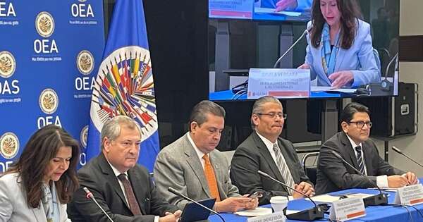 La Nación / Jiménez Rolón expuso ante la OEA experiencia con el Sistema de Facilitadores Judiciales en Paraguay