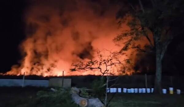 [VIDEO] ¡Urgente! Refugio con mas de 200 animales pide auxilio a bomberos