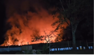 (VIDEO). Refugio con 200 animalitos en peligro por un gran incendio