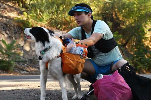 Mascotas: un abogado y su perro impulsan el “plogging” a favor del reciclaje en Chile - Mascotas - ABC Color
