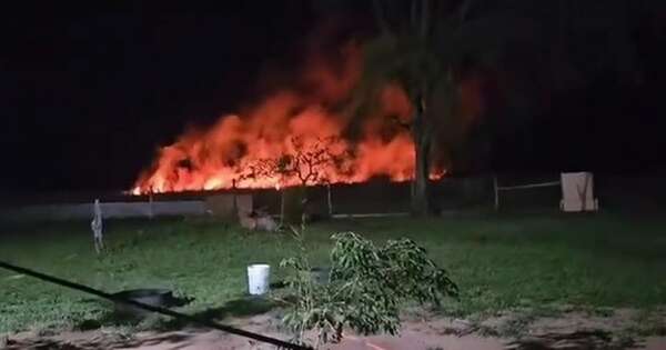 La Nación / Paraguarí: controlan incendio en propiedad donde funciona un refugio de mascotas