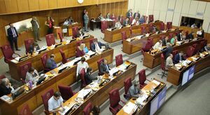 La Cámara de Senadores da media sanción a la ley de reforma de la Policía Nacional - La Tribuna