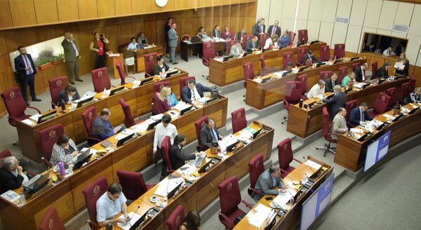 La Cámara de Senadores da media sanción a la ley de reforma de la Policía Nacional - La Tribuna