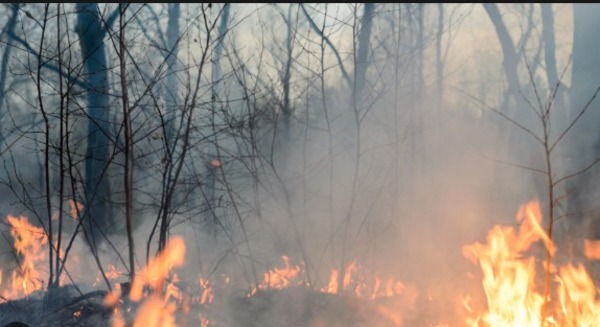 Según la ANDE, apagones son producto de incendios forestales y falta de inversión - Megacadena - Diario Digital