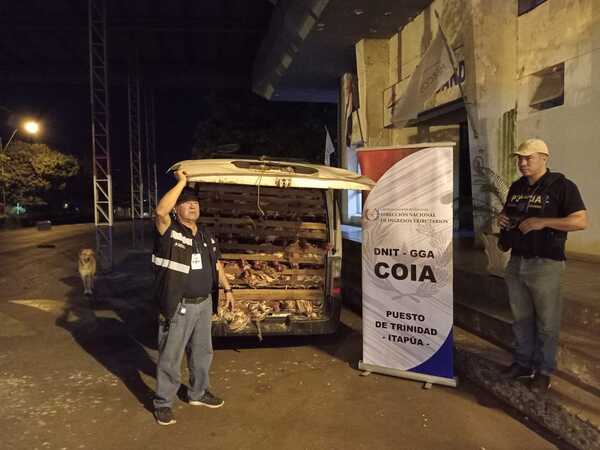 Incautan al menos 1000 gallinas que eran trasladadas sup. de manera irregular