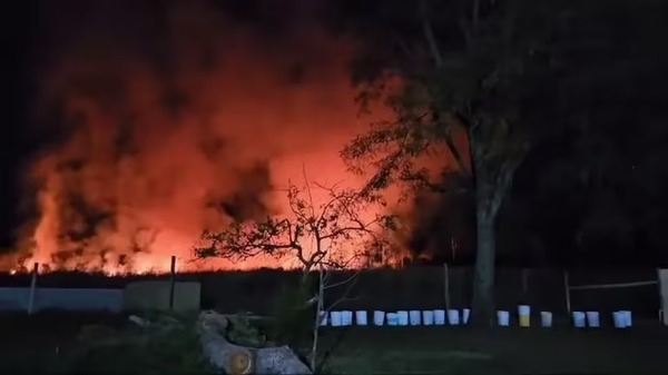 INCENDIO CASÍ MATA A VARIOS PERRITOS DE UN REFUGIO EN PARAGUARÍ