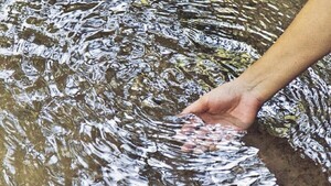 Coca-Cola apuesta por la preservación del agua del Mbaracayú
