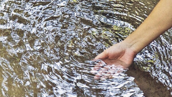 Coca-Cola apuesta por la preservación del agua del Mbaracayú