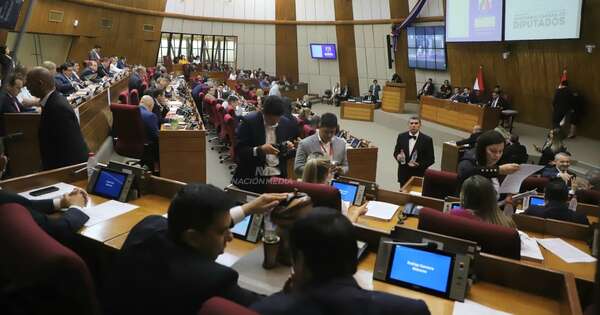 La Nación / Diputados inicia tratamiento del proyecto de ley “Hambre cero”