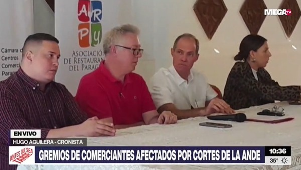 Cortes de energía: Cámara de Centros Comerciales pide al Gobierno “dejar este desastre atrás” - Megacadena - Diario Digital