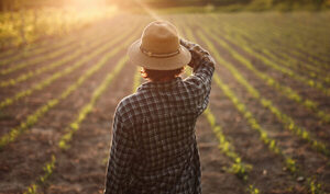 CAH lanza nuevo producto financiero de hasta G. 750 millones para productores rurales - MarketData