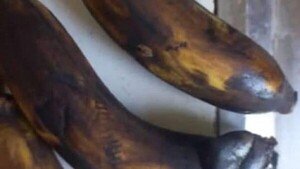 Alumno olvidó sacar de la mochila las bananas, aclaran desde Puerto Casado