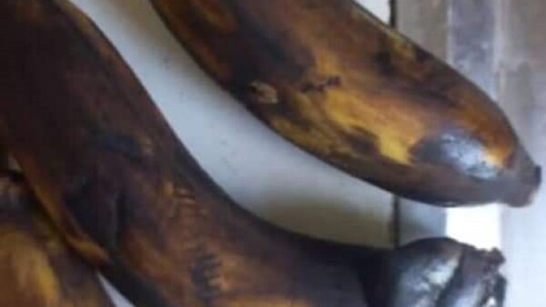 Alumno olvidó sacar de la mochila las bananas, aclaran desde Puerto Casado