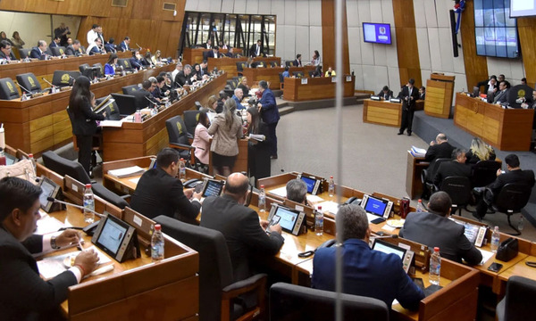 Media sanción a la Ley Hambre Cero en Diputados