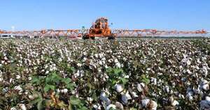 La Nación / Seis productos paraguayos lograron conquistar nuevos destinos en febrero