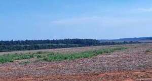 Supuestos invasores de tierras disparan contra trabajadores de establecimiento - Nacionales - ABC Color