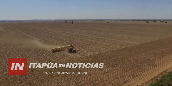 EN ITAPÚA HAY PERSPECTIVAS ALENTADORAS PARA LAS ZAFRAS DE MAÍZ Y SOJA EN 2024 - Itapúa Noticias