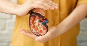 La Nación / Hidratación es clave para evitar falla renal