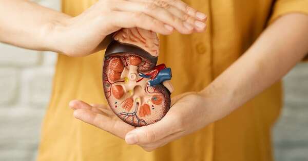 La Nación / Hidratación es clave para evitar falla renal