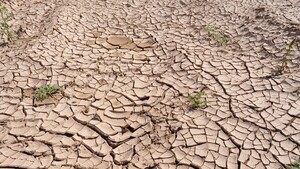 ONU llama a la alerta climática con partes meteorológicos de 2050 en TVs de todo el mundo