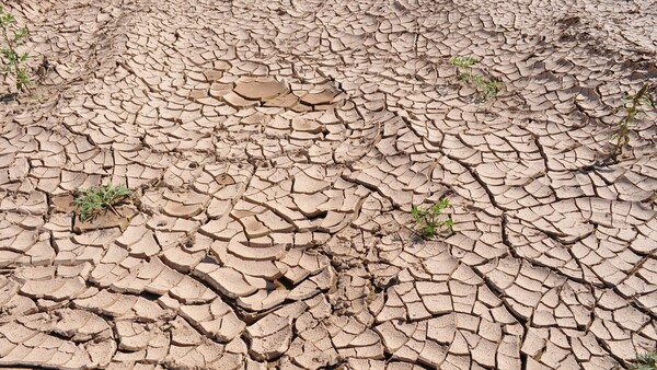 ONU llama a la alerta climática con partes meteorológicos de 2050 en TVs de todo el mundo