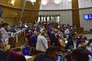 Ley antinepotismo de Diputados: parlamentarios podrán perder sus bancas, destaca Rubin - Política - ABC Color