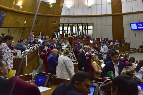 Ley antinepotismo de Diputados: parlamentarios podrán perder sus bancas, destaca Rubin - Política - ABC Color