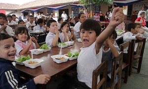 Cámara de Diputados aprueba proyecto de ley Hambre cero en las escuelas, y pasa al Senado – Diario TNPRESS