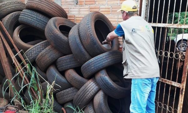 Senepa refuerza tareas ante ascenso de casos de dengue en CDE, Franco y Juan L. Mallorquín – Diario TNPRESS