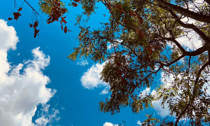 Iniciamos el otoño con mínimo descenso de temperatura y tormentas en Coronel Oviedo