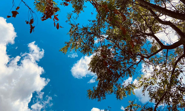Iniciamos el otoño con mínimo descenso de temperatura y tormentas en Coronel Oviedo
