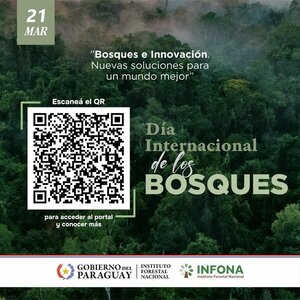 Día Internacional de los Bosques: Paraguay ofrece novedosa herramienta para monitoreo y protección - .::Agencia IP::.