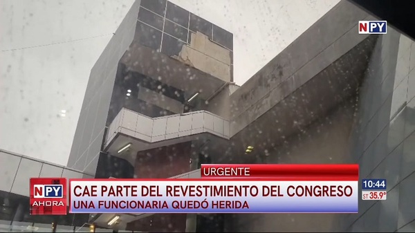 Revestimiento del Congreso cae a pedazos - Noticias Paraguay