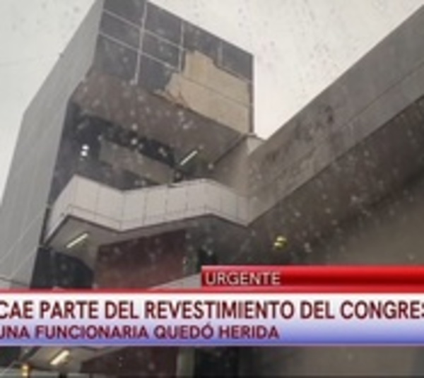 Revestimiento del Congreso cae a pedazos - Paraguay.com