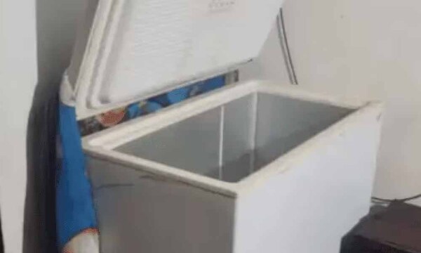 Argentina: Niño de 13 años apareció muerto en un freezer, su bisabuela se enteró y murió de un infarto – Prensa 5