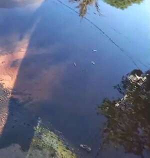 Video: pérdida de agua en Luque  - Crónicas Ciudadanas - ABC Color