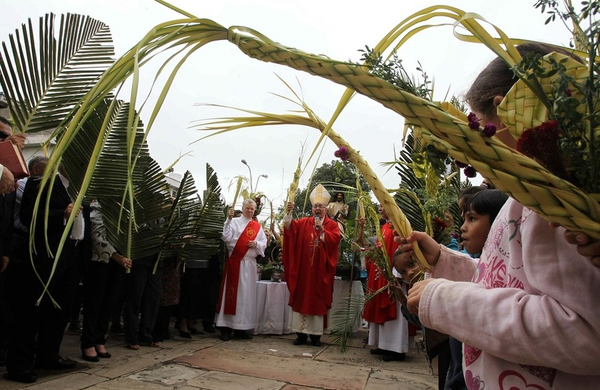 Horarios definidos para el Domingo de Ramos en la Iglesia Catedral