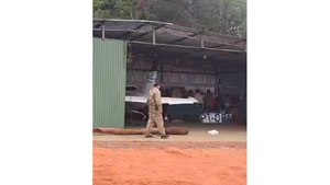 Encuentran pista clandestina en Cerro Guazú - Noticias Paraguay