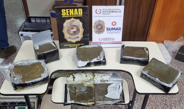 SENAD incautó marihuana "vip" en encomienda procedente de Miami - ADN Digital