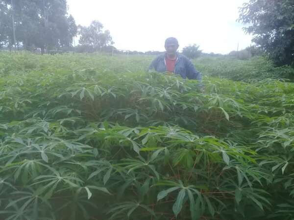 Ñeembucú: lluvia benefician al agro, pero empeora estado de caminos vecinales - Nacionales - ABC Color