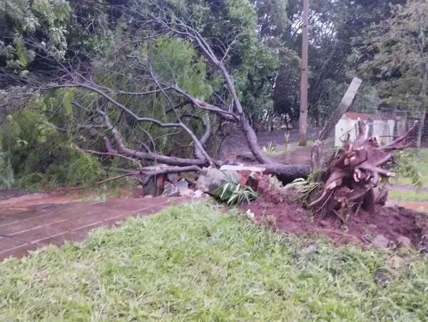 Caída de árbol dejó sin energía eléctrica a Unidad de Salud Familiar de Encarnación - Clima - ABC Color