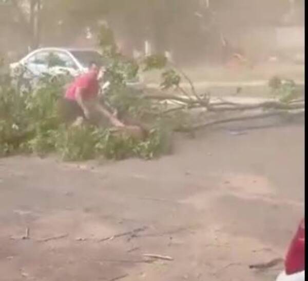 [VIDEO] ¡Terrible tormenta! Fuertes vientos armaron sarambí, un árbol aplastó a un hombre