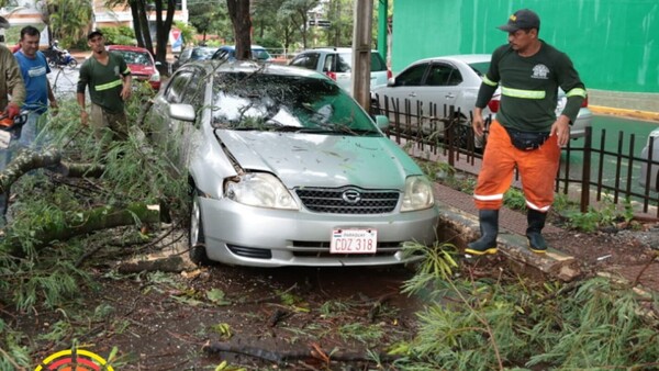 Temporal ocasiona destrozos y deja sin luz a varias zonas del país