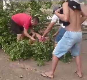 Video: parte de un árbol cayó sobre un policía a raíz del temporal en Concepción - Nacionales - ABC Color
